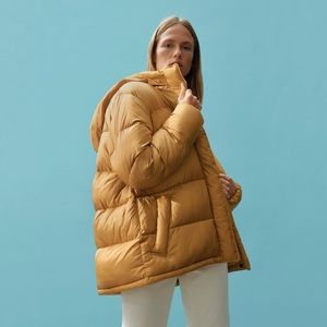 Everlane ReNew Puffer Jacket